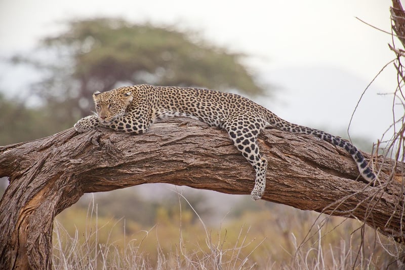 Serengeti National Park